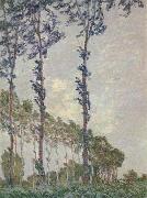 Claude Monet WInd Effect,Sequence of Poplars France oil painting artist